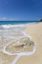 South Glossy Beach in Glossy Bay with waves breaking around a large piece of coral on the shoreline of the turqoise sea.Beaches Resort Sand Sandy Scenic Seaside Shore Tourism West Indies Caribbean De...