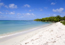 Waves breaking on Paradise Beach at LEsterre Bay with the turqoise sea and Sandy Island sand bar beyond.Beaches Resort Sand Sandy Scenic Seaside Shore Tourism West Indies Caribbean Destination Destin...