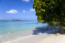 A tree leaning over waves breaking on Paradise Beach at LEsterre Bay with the turqoise sea and Sandy Island sand bar beyond.Beaches Caribbean Destination Destinations Grenadian Greneda Resort Sand Sa...