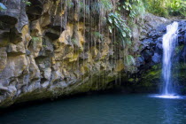 Annadale Waterfall.Caribbean Destination Destinations Grenadian Greneda West Indies Grenada Scenic