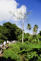 Cruise ship tourists trekking through the jungle interior towards Royal Mount Carmel Waterfall.Caribbean Destination Destinations Grenadian Greneda West Indies Grenada Ecology Entorno Environmental E...