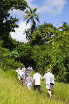 Cruise ship tourists trekking through the jungle interior towards Royal Mount Carmel Waterfall.Caribbean Destination Destinations Grenadian Greneda West Indies Grenada Ecology Entorno Environmental E...