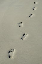 Human footprints in the sand.American oceanseabeachbeachessandsandyfootprintfootprintswalkwalkingrunrunningspiritualspiritualitycoastcoastalcoastlinepeopleimprintprintprintssymbo...