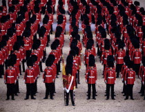 Horseguards Parade  Trooping the Colour for the Queens birthday celebrations.Color Destination Destinations European Great Britain History Historic Londres Northern Europe UK United Kingdom