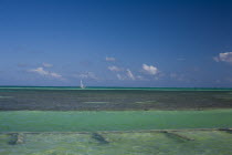 Exotic crystal clear green and blue sea and blue sky with a sailing boat noticeable at the horizon.SummerHolidaysVacationRelaxSunTropicalTourismSailYachtRelaxBeachIdealParadiseDream dest...