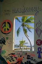 Palm trees and blue sky on a windy day as seen through a window with symbols and psychedelic paintings on the walls that surrounds it.Hippy70sGraffitiPaintSymbolIdeogramExoticArtDesignCreati...