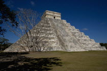 Archeological Sites Main Pyramid Known As El Castillo Or Kukulcan with a tall naked tree in front of it on the left hand side.MayaMayanToltecHistorySunVacationHolidaysTravelArcheologyHistori...