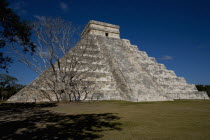 Archeological Sites Main Pyramid Known As El Castillo Or Kukulcan with a tall naked tree in front of it on the left hand side.MayaMayanToltecHistorySunVacationHolidaysTravelArcheologyHistori...