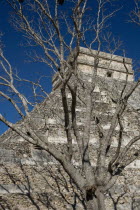 Archeological Sites Main Pyramid Known As El Castillo Or Kukulcan behind the naked branches of a tall tree.MayaMayanToltecHistorySunVacationHolidaysTravelArcheologyHistoricalReligionBuildi...