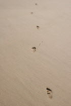 Foot prints on a sandy beach.foot steps  beach  sand  prints  trail  art  empty  Skegness  coast  sandy  British  English  smooth  clear  clean European Great Britain Northern Europe Sand Sandy Beach...