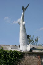 Bill Heines Shark in the roof  of a terraced house in Headington.shark  Oxford  Bill Heine  UK  eccentric  Headington  Oxfordshire  England  Britain  art  odd  unusual  house  home  crash  crashed  r...