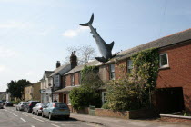 Bill Heines Shark in the roof of a terraced house in Headington.shark  Oxford  Bill Heine  UK  eccentric  Headington  Oxfordshire  England  Britain  art  odd  unusual  house  home  crash  crashed  ro...