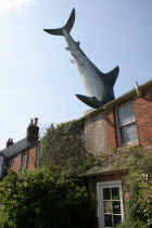 Bill Heines Shark in the roof of a terraced house in Headington.shark  Oxford  Bill Heine  UK  eccentric  Headington  Oxfordshire  England  Britain  art  odd  unusual  house  home  crash  crashed  ro...