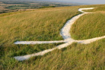 The chalk White Horse.Wiltshire  Uffington  White Horse hill  chalk  carving  Great Britain  UK  England  Europe  old  countryside  rural  picturesque  European  scenic  scenery  landscape  history...