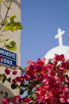 Iracleous Place street sign on corner of building opposite partly seen Agia Paraskevi Greek Orthodox church in Kos Town with dark pink bouganvilia in foreground.Resort Summerearly season AegeanHol...
