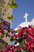 Iracleous Place street sign on corner of building opposite partly seen Agia Paraskevi Greek Orthodox church in Kos Town with dark pink bougainvillea in foreground.Greek Islands clear blue skysummer...