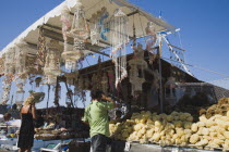 Open fronted tourist souvenir shop in Mandraki Harbour selling sponges from nearby Symi and seashell crafts. AegeanRodiseacoast coastalpackage holiday resortsun sunshine sunnyDestinations Ellad...