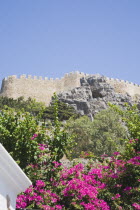 Lindos.  The Akropolis on rocky hill top with bright pink flowering shrub in gardens of house in Lindos in the foreground below. AegeanGreekSummer seasonRodicoast coastalpackage holidaytrip des...