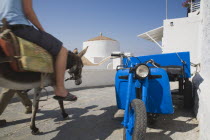 Lindos.  Classic Greek Island scene with tourist on donkey being led from the Akropolis of Lindos down to beach past bright blue delivery motorbike on paved stone path with whitewashed church beyond i...