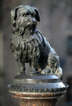 Greyfriars Bobby statue in old town.UKUnitedKingdomScotlandScottishEdinburghCityLothianStatueDogCanineBobby Alba British Isles European Great Britain Northern Europe United Kingdom