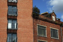 Cromac Street. Traditional red brick run down and delapadated building next to modern apartment complex.Beal Feirste Eire European Irish ExteriorOldNewContrastFlatsBalconyWindowNorthern Norther...