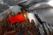 St Georges Market on a busy friday morning  busy with shoppers. Stalls selling various fish and shell fish. Prawns on display.Beal Feirste Eire European Irish Northern Northern Europe Republic Irelan...