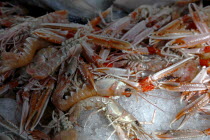 St Georges Market on a busy friday morning  display of fresh prawns on fish stall.Beal Feirste Eire European Irish Northern Northern Europe Republic Ireland Poblacht na hEireann Shrimps