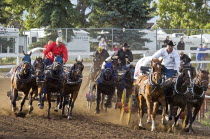 Rocky Mountain Professional Chuckwagon RacesAmerican Canadian North America Northern