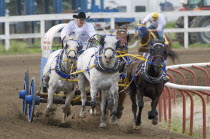 Rocky Mountain Professional Chuckwagon RacesAmerican Canadian North America Northern