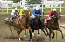 Horse racing at the Rocky Mountain Turf ClubAmerican Canadian Equestrian North America Northern