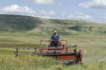 Farmer harvesting feed oats on a ranch near the Cowboy Trail.American Canadian North America Northern Blue Clouds Cloud Sky Farming Agraian Agricultural Growing Husbandry  Land Producing Raising One...