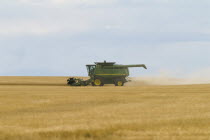 John Deere Combine harvesting field of wheat.American Canadian North America Northern Blue Cereal Grain Crop Clouds Cloud Sky Farming Agraian Agricultural Growing Husbandry  Land Producing Raising