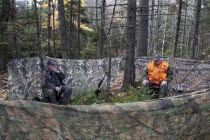 Richard Cote  Robert Curtis in hide while Moose hunting in the autumn.Fall American North America Northern United States of America Old Senior Aged