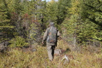 Hunter in camoflage while Moose hunting in the autumn.American North America Northern United States of America One individual Solo Lone Solitary