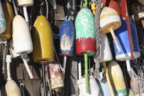 Multi coloured Buoys on lobster shack.American North America Northern United States of America Colored New England Vacationland Pine Tree State