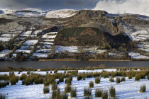 Glencar Lake with mountains and tree symbol behind.WeatherWinterIrelandEireRepublicEuropeEuropeanIrishLandscapeSligoAtmosphereLightMountainsSnowMistSheepFarmFarmingAgricultureTrees...