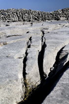 Karst limestone pavement with crevices or grykes and distant Dry Stone Wall.Eire European Irish Northern Europe Republic Ireland Poblacht na hEireann Blue Gray Karst Sedimentary Rock Scenic