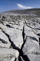 Limestone pavements with crevices  grykes  and dry stone wall in the distance.Eire European Irish Northern Europe Republic Ireland Poblacht na hEireann Blue Gray Karst Sedimentary Rock Scenic