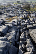 Poulnabrone Dolmen - Limestone sections with grykes and the dolmen at top.Eire European Irish Northern Europe Republic Ireland Poblacht na hEireann Gray Karst Sedimentary Rock Scenic