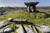 Poulnabrone Dolmen - The thin capstone sits on two 1.8 metre  6 feet  high portal stones. These stones created a chamber within which the dead were placed. The people buried here were Neolithic farmer...