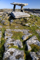 Poulnabrone Dolmen - The thin capstone sits on two 1.8 metre  6 feet  high portal stones. These stones created a chamber within which the dead were placed. The people buried here were Neolithic farmer...