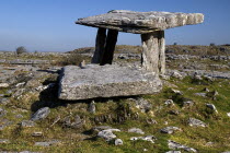 Poulnabrone Dolmen - The thin capstone sits on two 1.8 metre  6 feet  high portal stones. These stones created a chamber within which the dead were placed. The people buried here were Neolithic farmer...