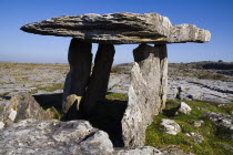 Poulnabrone Dolmen - The thin capstone sits on two 1.8 metre  6 feet  high portal stones. These stones created a chamber within which the dead were placed. The people buried here were Neolithic farmer...