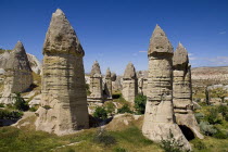 Turkey, Cappadocia, Goreme, Love Valley, Phallic looking fairy chimneys in this popular valley just outside Goreme.