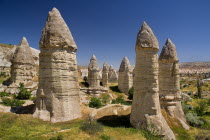 Turkey, Cappadocia, Goreme, Love Valley, Phallic looking fairy chimneys in this popular valley just outside Goreme.