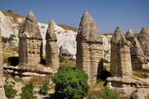 Turkey, Cappadocia, Goreme, Love Valley, Phallic looking fairy chimneys in this popular valley just outside Goreme.