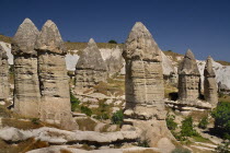 Turkey, Cappadocia, Goreme, Love Valley, Phallic looking fairy chimneys in this popular valley just outside Goreme.