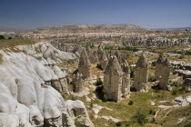 Turkey, Cappadocia, Goreme, Love Valley, Phallic looking fairy chimneys in this popular valley just outside Goreme.