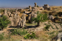 Turkey, Cappadocia, Goreme, Sword Valley, The valley got its name because of all the sharp pinnacles to be found there.