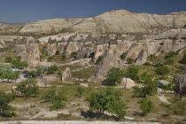 Turkey, Cappadocia, Goreme, Pasabag, Large selection of Fairy Chimneys bunched together.